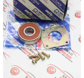 CUSCINETTO ALTERNATORE...