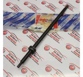 ASTA CAMBIO FIAT DUCATO...