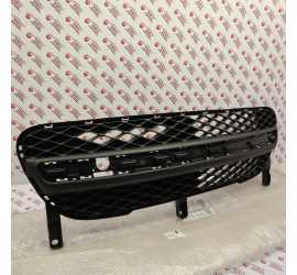 GRIGLIA RADIATORE PARAURTI...