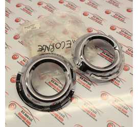 COPPIA MOSTRINE FENDINEBBIA...