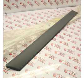 MODANATURA PORTA POSTERIORE...