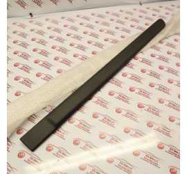 MODANATURA PORTA POSTERIORE...