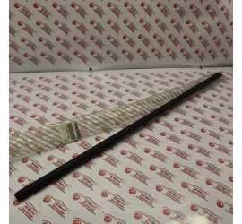 RASCHIAVETRO EST. ANT. DX...