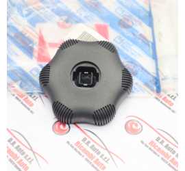 POMELLO REGOLAZIONE...