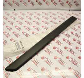 MODANATURA PORTA POST. DX...