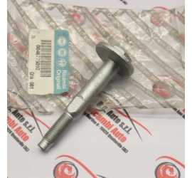 VITE ASSALE POSTERIORE ALFA...