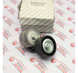 TENDICINGHIA RAGOLABILE...