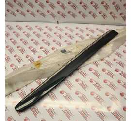 MODANATURA PORTA POST. DX...