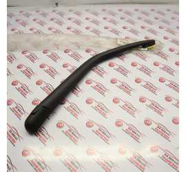 BRACCIO TERGI POSTERIORE...