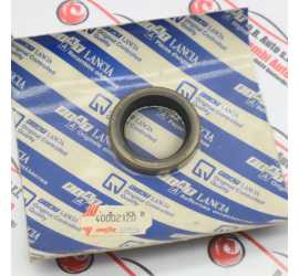 PARAOLIO MOZZO RUOTA FIAT...