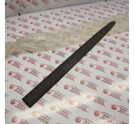 MODANATURA PORTA POSTERIORE...