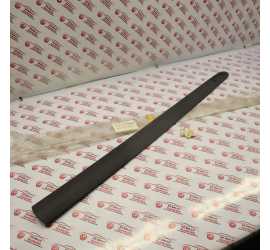 MODANATURA PORTA ANTERIORE...