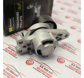 TENDICINGHIA CITROEN...