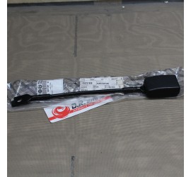 RAMO CINTURE LATO...