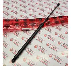 PISTONE PORTELLONE...