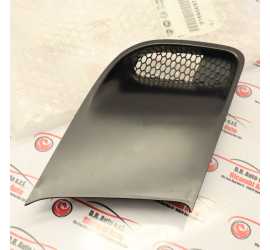 MOSTRINA DX PARAURTI ANT....