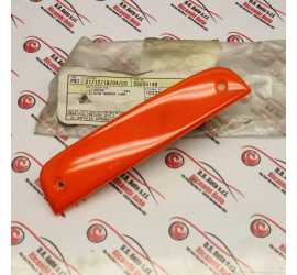 CATARINFRAGENTE POSTERIORE...