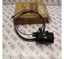 CAVO APERTURA COFANO...