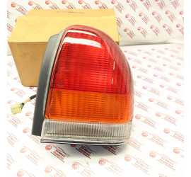 FANALE POSTERIORE DX....