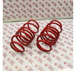 COPPIA MOLLE ANTERIORE 500...